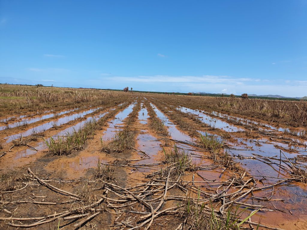 Unusable sugar land of a Fairtrade farmer due to Yasa cyclone
