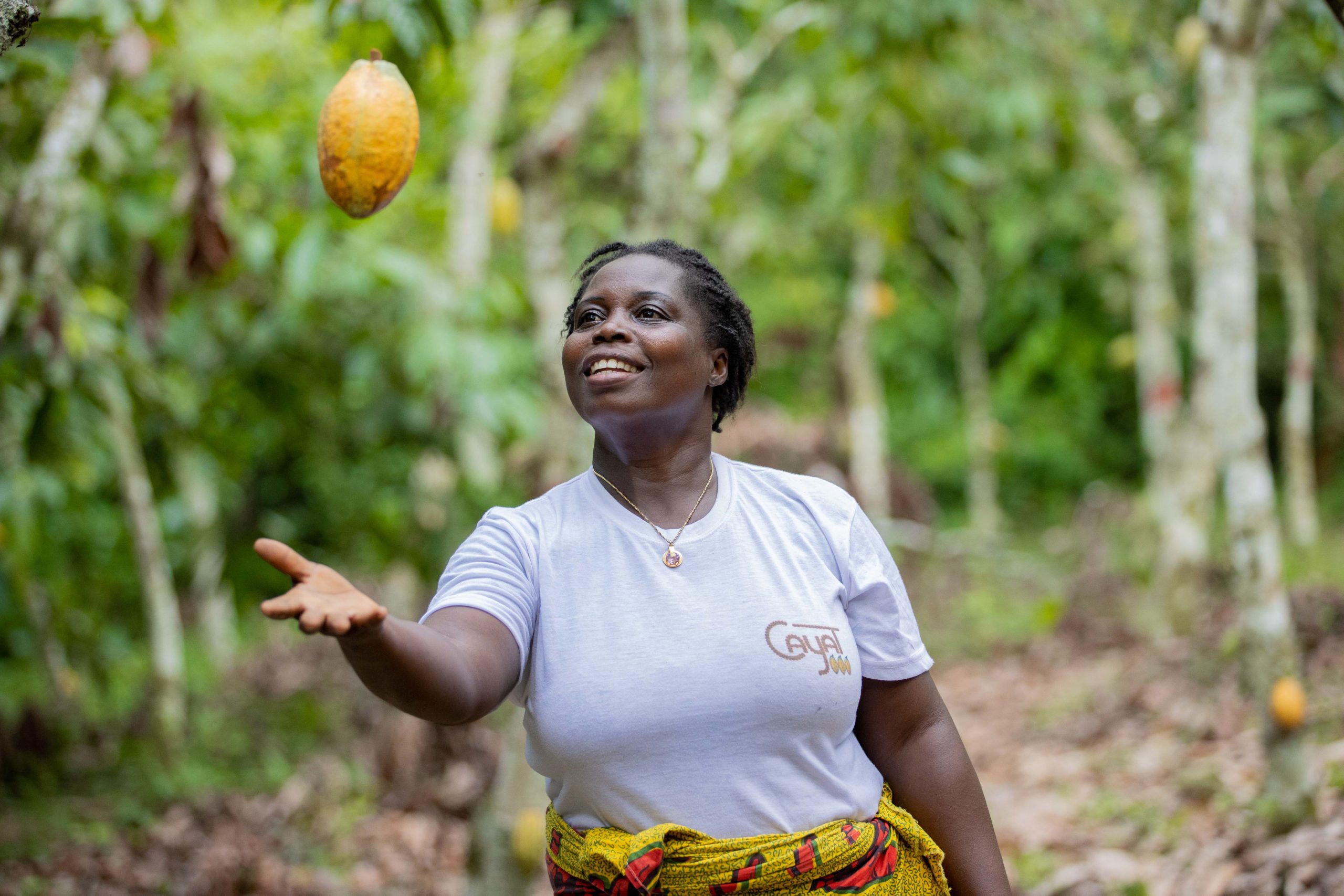 Fairtrade vs. Direct Trade: Exploring Paths for Cocoa Farmers ...